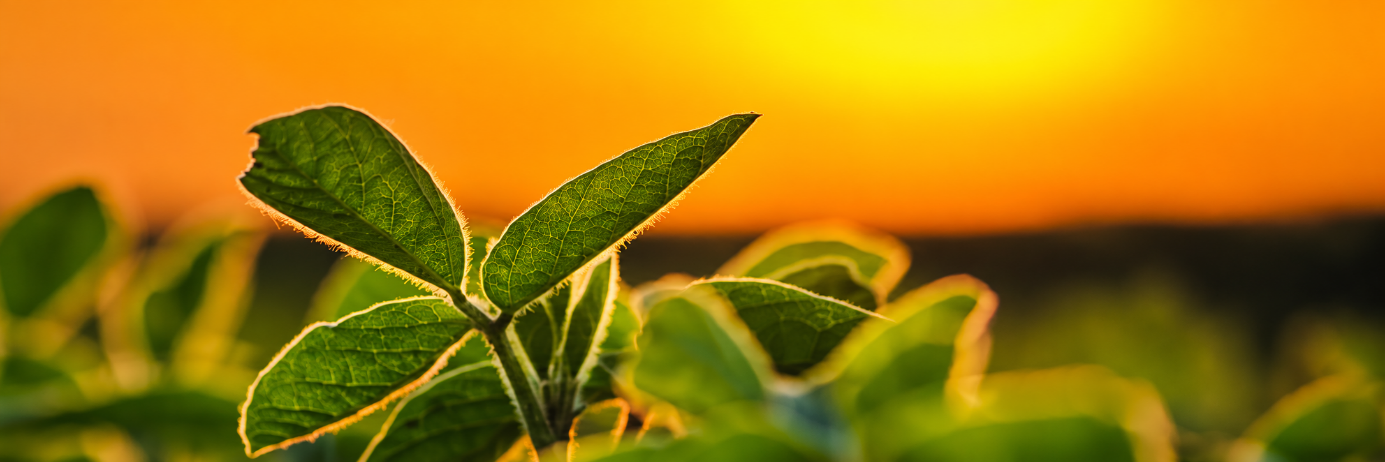 Notre responsabilité environnementale